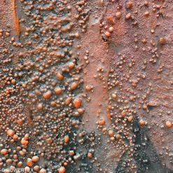 Powertex Durcisseur Tissu Billes 3D Powertex - Diamètre Petit - 230 Ml -Rayher store unnamed file 159