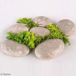 Rayher Moule Déco Pour Béton Créatif Moule En Silicone - Galets - 6 Pcs 10 Rayher Moule Déco Pour Béton Créatif Moule En Silicone - Galets - 6 Pcs -Rayher store unnamed file 304