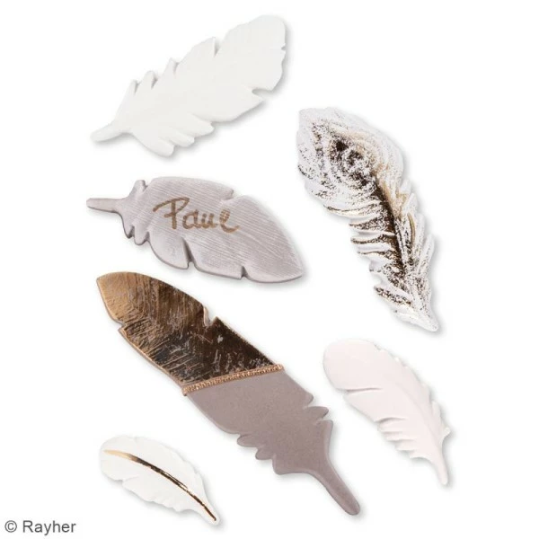 Rayher Plaque Avec Moules Multi-usages - Plume - 6 Formes 6 Rayher Plaque Avec Moules Multi-usages - Plume - 6 Formes – Image 5