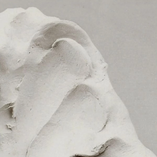 Primo Argile Auto-durcissante - Blanc - 1 Kg 8 Primo Argile Auto-durcissante - Blanc - 1 Kg – Image 6